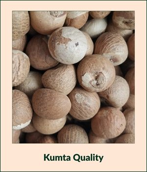 Kumta Quality (4)